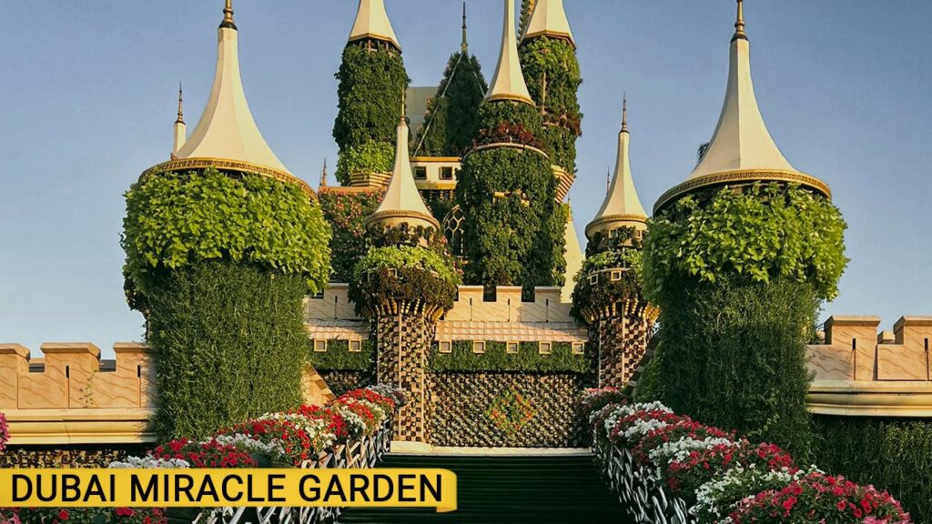 Things to Do in Dubai in Winter – Dubai Miracle Garden with colorful floral displays
